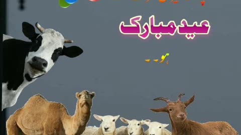 aap sub ko meri teraf se eid mubarik