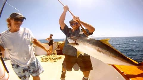 (18) 07/27/2015 - "Barefoot Dan" nails a 28 lb Yellowtail on the New Seaforth.