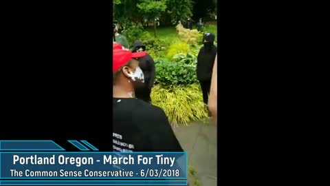 Another Camera - Mayhem In Portland Oregon As Patriots Try To Have A Freedom March For Tiny