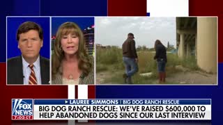 Lauree Simmons tells Tucker her shelter has raised $600K to help abandoned dogs at the border