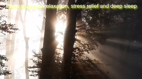 Calming Piano Music for Relaxation, Stress Relief and Deep Sleep