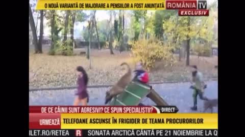 Mihai Nae @ Stirile Romania TV - Despre cazurile de agresivitate fata de stapan