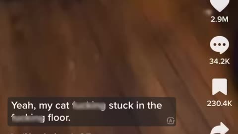 Cat got stuck