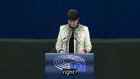 "Here's a Lesson" - Christine Anderson Smacks the EU With a Reminder on What Democracy Is All About