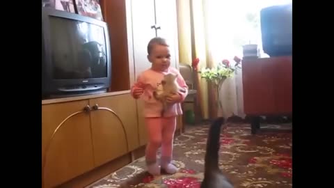 Mama cat take back crying kitten from toddler