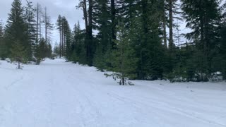 Steady Climb up the Mountain – Potato Hill Sno-Park – Central Oregon – 4K