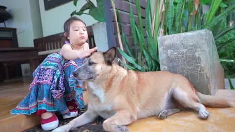 SLO MO Asian little girl playing with her dog