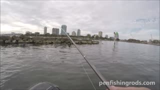 Snapper Fishing by penfishingrods.com
