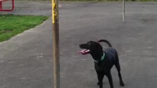 Riley playing tetherball