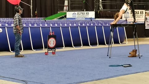 Sara Twister performs at the Indianapolis Boat, Sport and Travel show