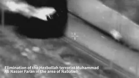 Hezbollah terrorist Muhammad Ali Nasser Faran