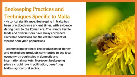 Beekeeping in Malta