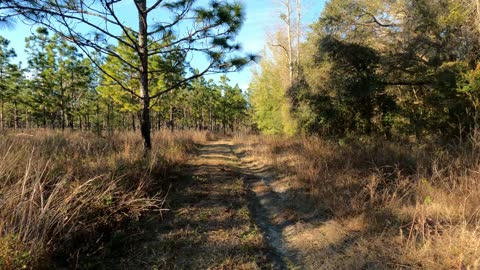 Dunnellon Florida Trail Hike Part 1