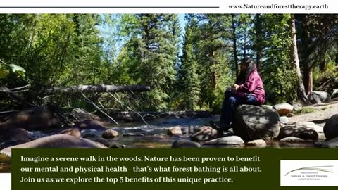 Discovering the Health Benefits of Forest Bathing: A Beginner's Guide