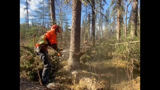 Clearing For Hydro Dam