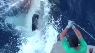incredible fishing of a monstrous great white shark.