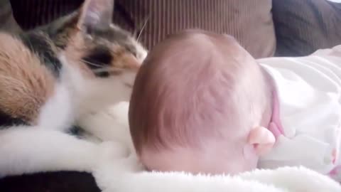 kitten and child