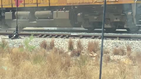 Train Collides with Truck Stuck on Tracks
