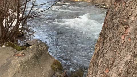 Crystal Clear Mountain Glacier Water – Whychus Creek – Central Oregon