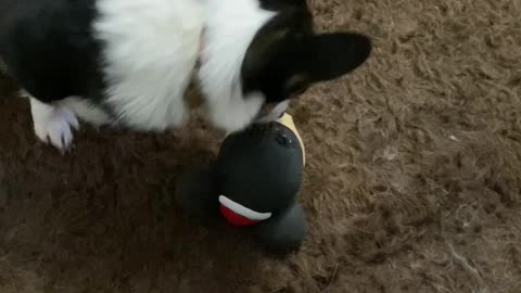 Skadi Steals Njord's toy