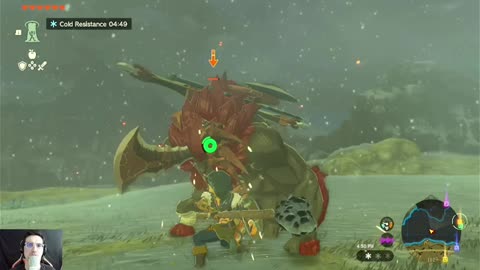 The Legend of Zelda Tears of the Kingdom | Ep. 14 - First Lynel Encounter