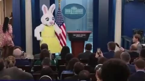 Easter bunny briefed journalists at the White House presidential pool today