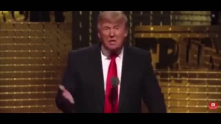 The Daily Rant Channel: “President Donald Trump On Wet Raccoon Compared To His Hair” LOL