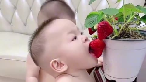 Funny baby short