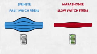 Sprinter vs. Marathoner