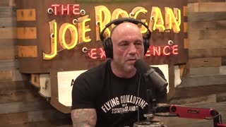 Why Does God Allow CRIME Joe Rogan & Stephen C. Meyer #jre