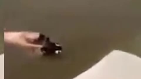 The dog help its boss when he was being drowned