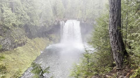 Gorgeous Koosah Falls – Sahalie Falls & Koosah Falls Loop – Central Oregon – 4K