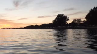 Dolphins at sunset