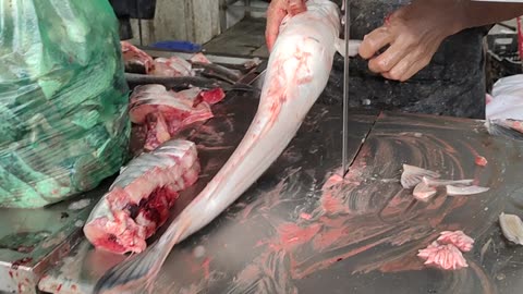 Incredible Big Pangas Fish Cuting Skills Live In Market l Amazing Fish Cutting Skills