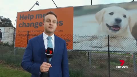 Guide Dogs Victoria investigation raises new questions 7NEWS