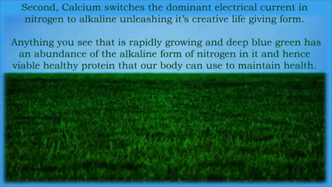 Nutrient Density a Discussion