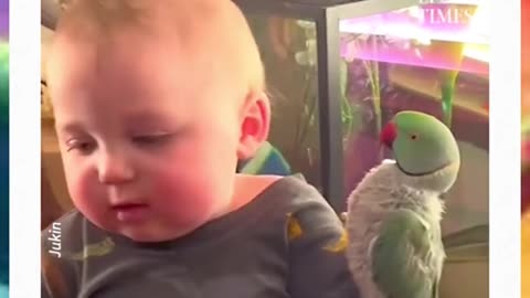 Baby and Parrot Kiss Each Other