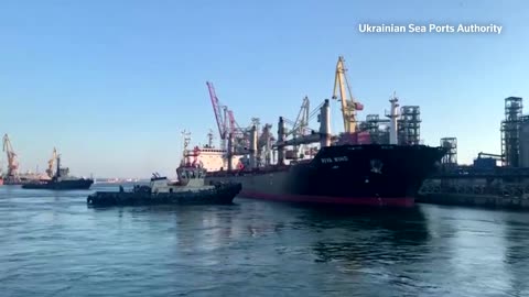 Cargo ships sail from Ukraine carrying foodstuffs