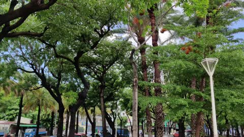 Tongmeng Park 同盟公園 🇹🇼 (2021-05) {aerial}