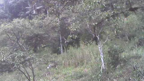 2nd, 3rd, 4th, 5th PETROGLYPH Virginia's Farm Pena Blanca Ecuador