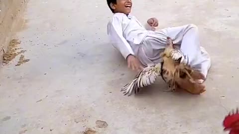 Massive fight between cock and boy