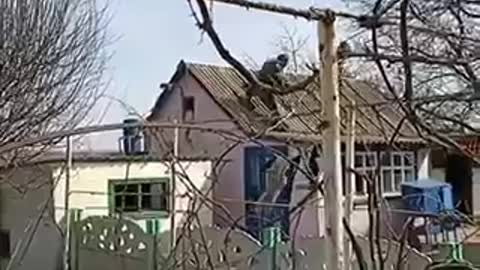 War on the roof! Donbass