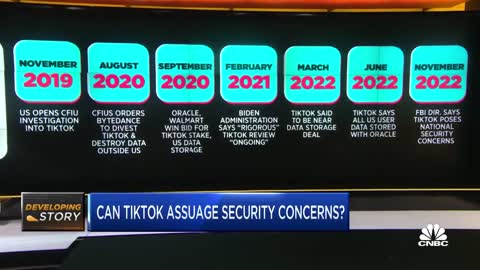 Several Republican States Have Banned TikTok Amid Security Concerns