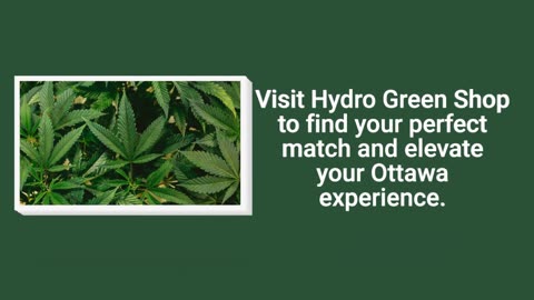 Elevate Your Ottawa Experience: Find Your Perfect Cannabis Strain!