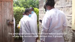 Commercial layer farmers who attend livestock farmer field schools learn good farming techniques.