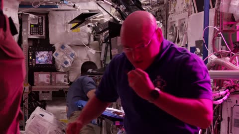 First Lettuce Grown and Eaten in Space