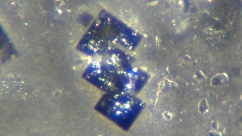 5G Nanochip found in the Pfizer covid vaccine under 200x magnification proof.