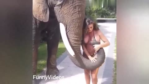 Laugh Out Loud with Funny Animals and Girl Fails - Hilarious Compilation ! 🐾😂