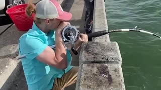 Catching a monster GROUPER