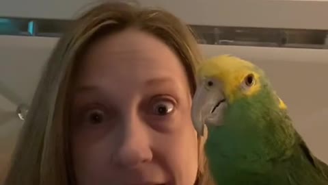 Maybe don't have “seggs" around Parrots